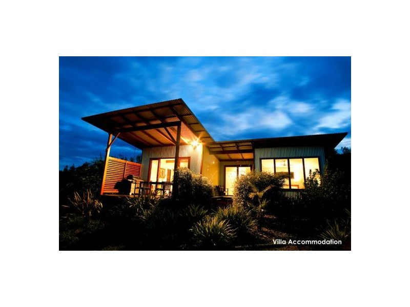 1090 Promised Land Rd Gleniffer, Bellingen NSW 2454