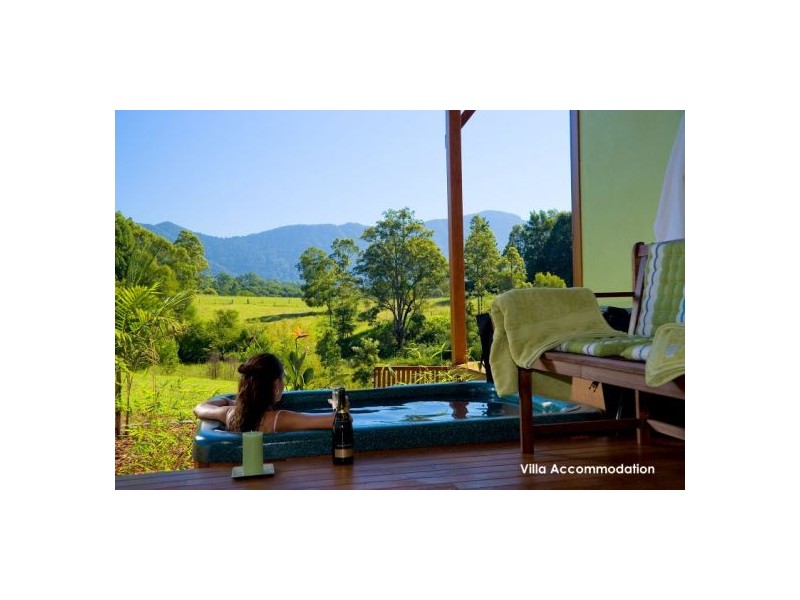 1090 Promised Land Rd Gleniffer, Bellingen NSW 2454