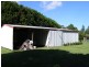 1701 Waterfall Way, Bellingen NSW 2454