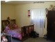 1701 Waterfall Way, Bellingen NSW 2454