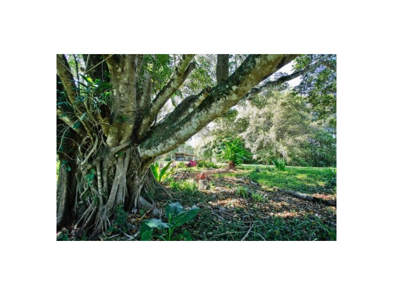 1369 South Arm Brierfield, Bellingen NSW 2454