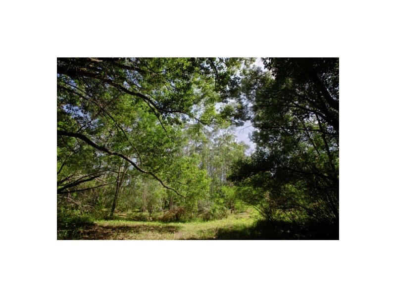 1369 South Arm Brierfield, Bellingen NSW 2454