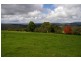 245 Deervale Loop Rd, Dorrigo NSW 2453