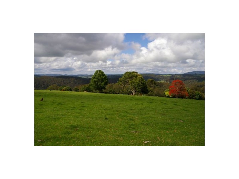 245 Deervale Loop Rd, Dorrigo NSW 2453
