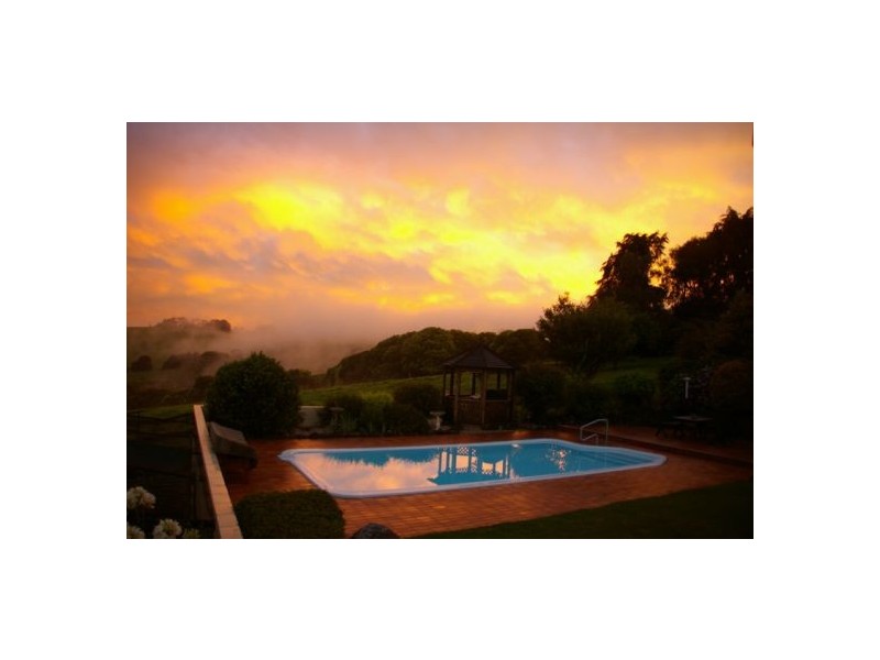 245 Deervale Loop Rd, Dorrigo NSW 2453