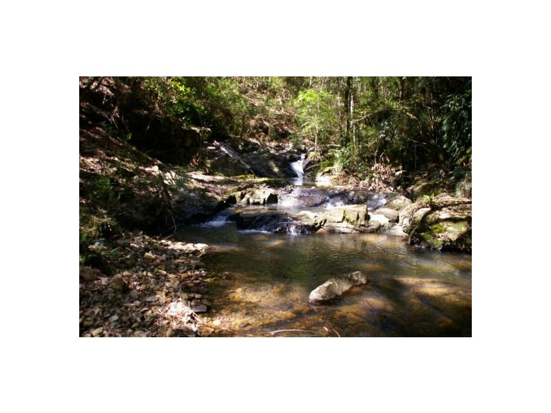 245 Deervale Loop Rd, Dorrigo NSW 2453