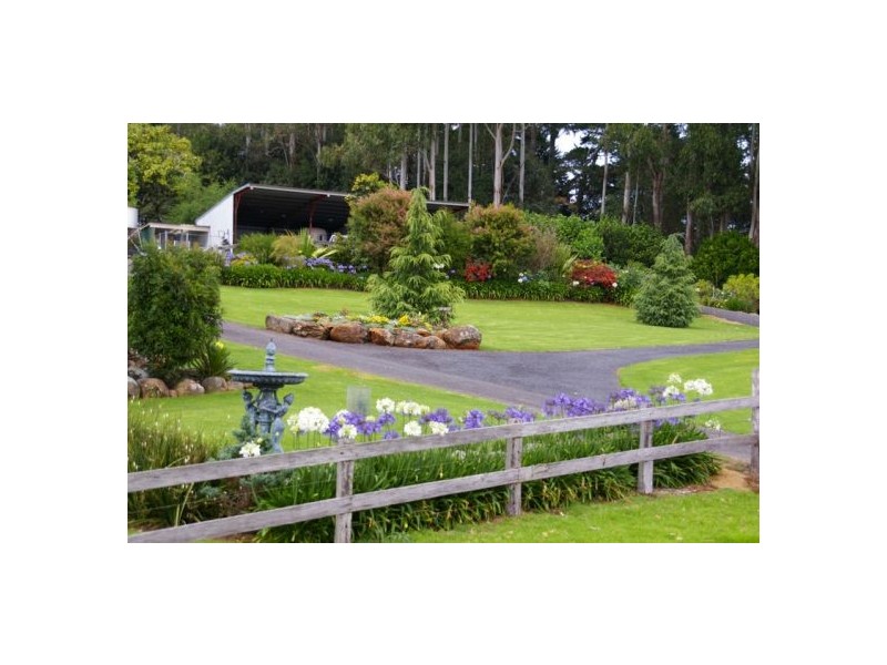 245 Deervale Loop Rd, Dorrigo NSW 2453