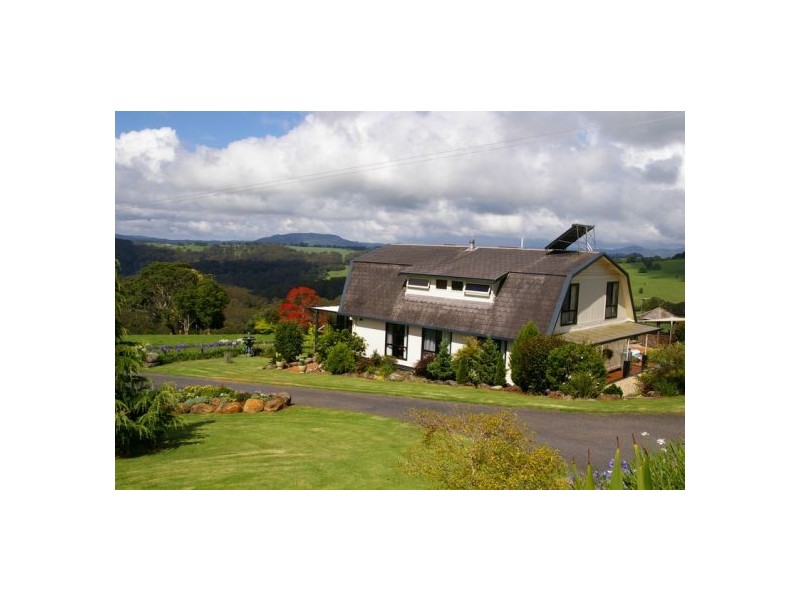 245 Deervale Loop Rd, Dorrigo NSW 2453
