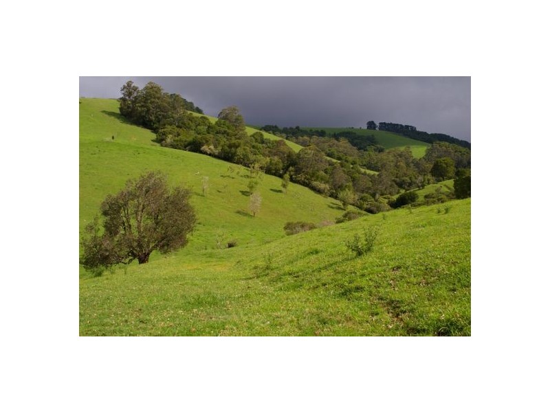 245 Deervale Loop Rd, Dorrigo NSW 2453