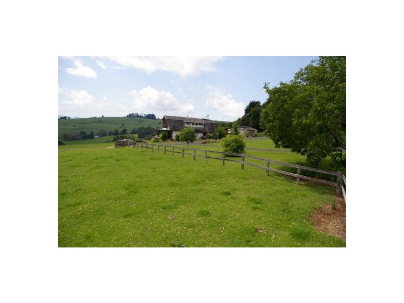 245 Deervale Loop Rd, Dorrigo NSW 2453