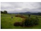 245 Deervale Loop Rd, Dorrigo NSW 2453