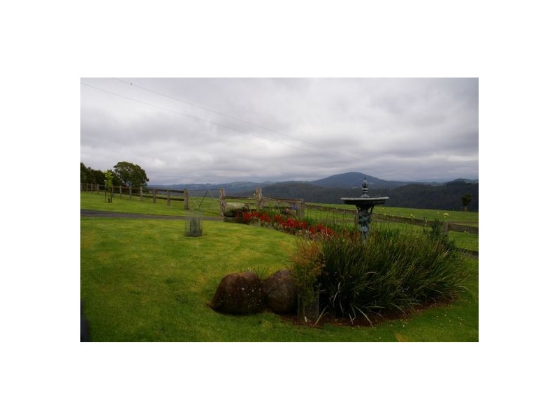 245 Deervale Loop Rd, Dorrigo NSW 2453