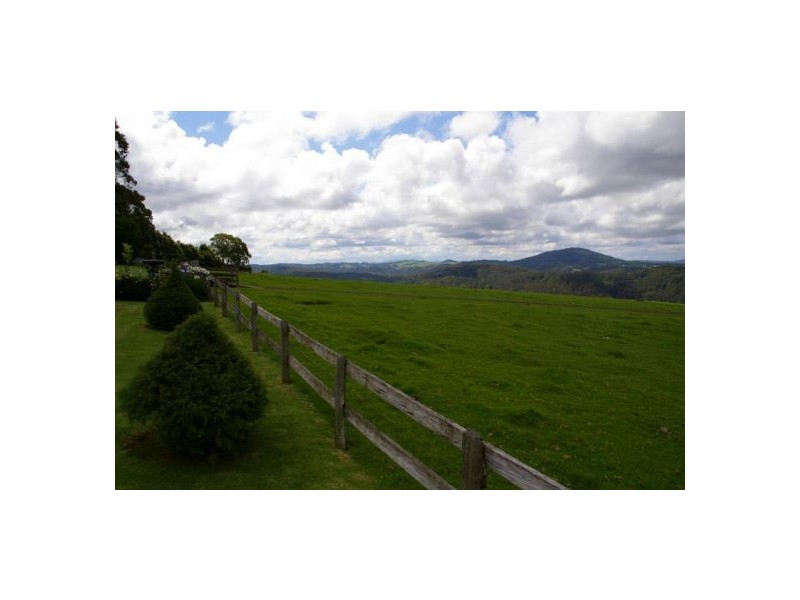 245 Deervale Loop Rd, Dorrigo NSW 2453