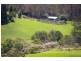245 Deervale Loop Rd, Dorrigo NSW 2453