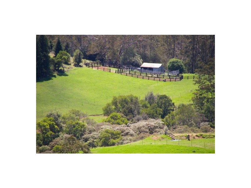 245 Deervale Loop Rd, Dorrigo NSW 2453