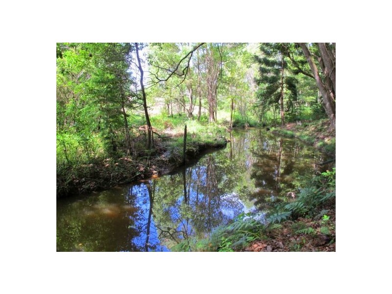 1079 Valery Road, Bellingen NSW 2454