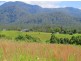 1079 Valery Road, Bellingen NSW 2454