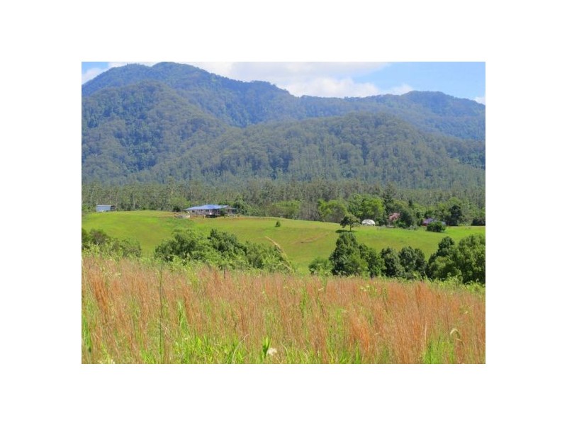 1079 Valery Road, Bellingen NSW 2454