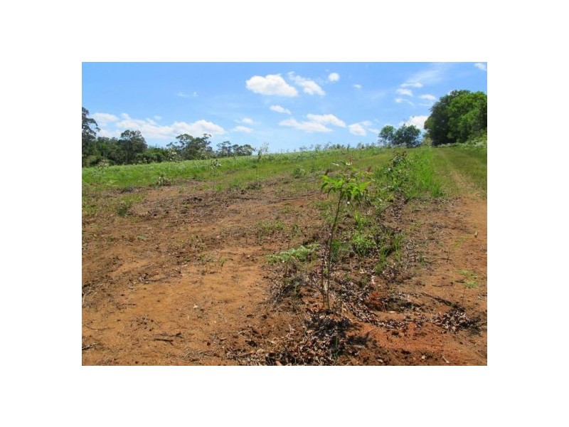 1079 Valery Road, Bellingen NSW 2454