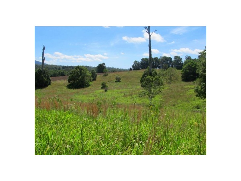 1079 Valery Road, Bellingen NSW 2454