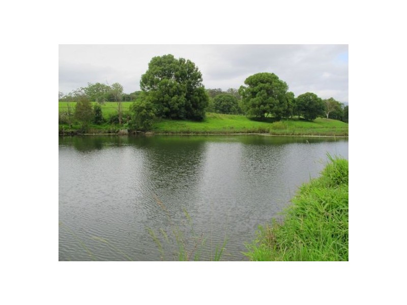 1265 South Arm Road, Bellingen NSW 2454