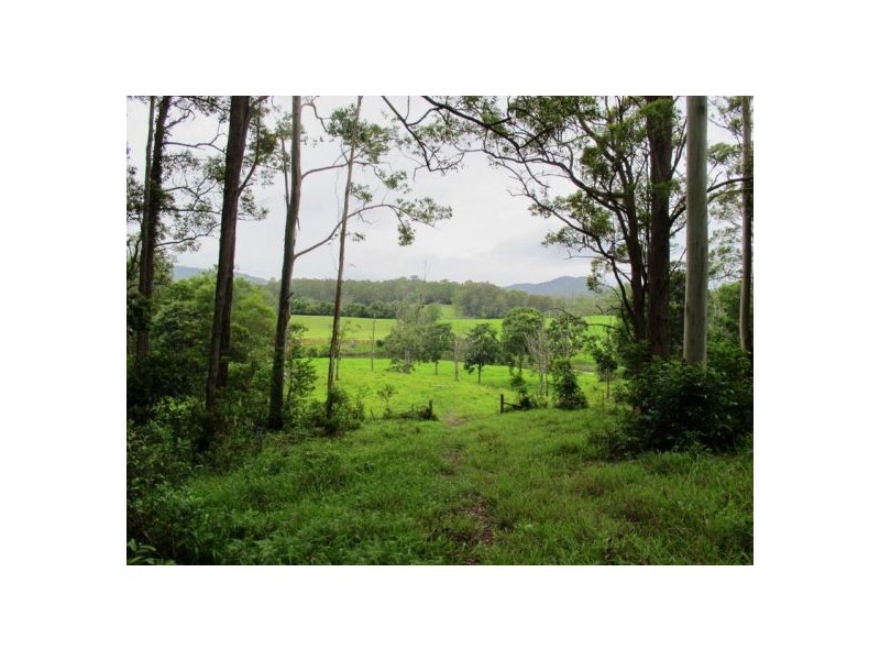 1265 South Arm Road, Bellingen NSW 2454