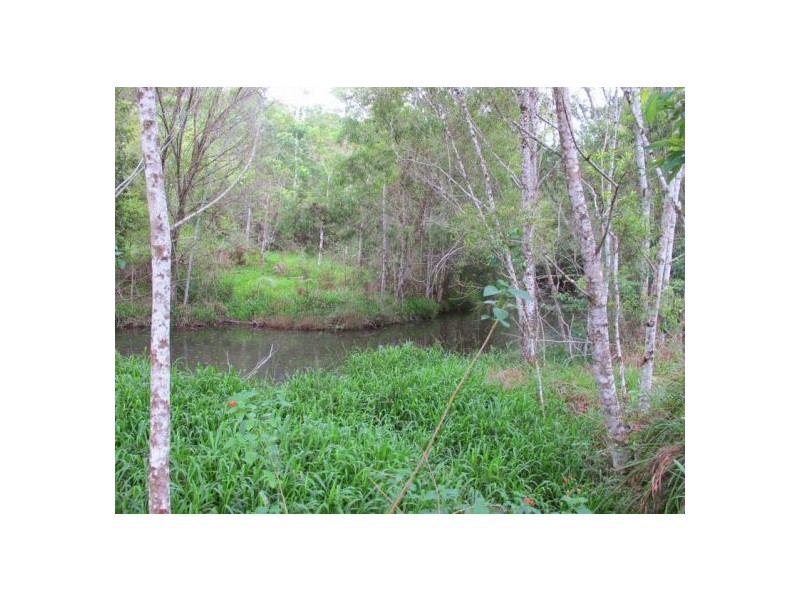 1265 South Arm Road, Bellingen NSW 2454