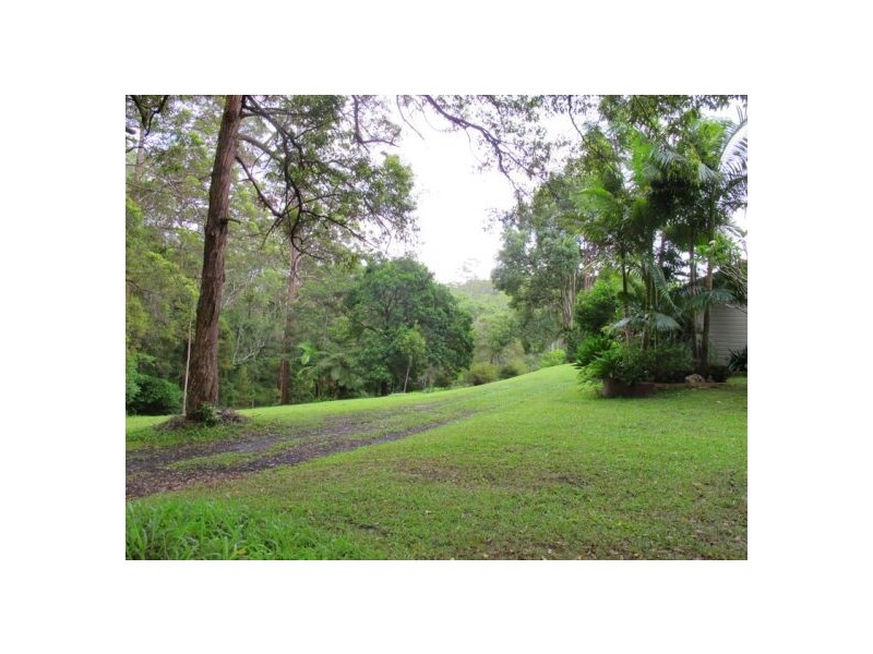 1265 South Arm Road, Bellingen NSW 2454