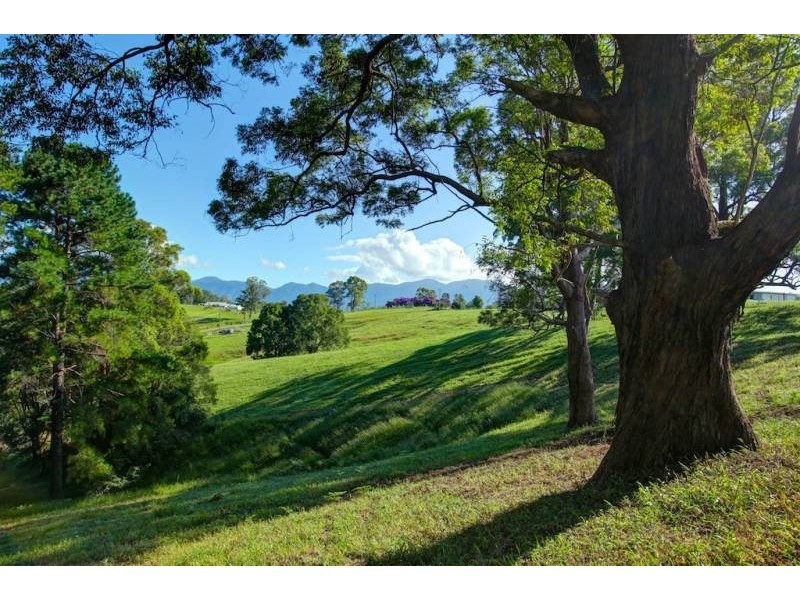 Lot 2 197 North Bank Rd, Bellingen NSW 2454