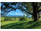 Lot 2 197 North Bank Rd, Bellingen NSW 2454