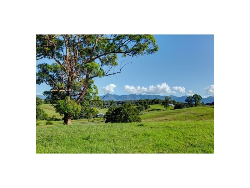 Lot 3 197 North Bank Rd, Bellingen NSW 2454