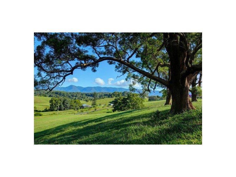 Lot 3 197 North Bank Rd, Bellingen NSW 2454