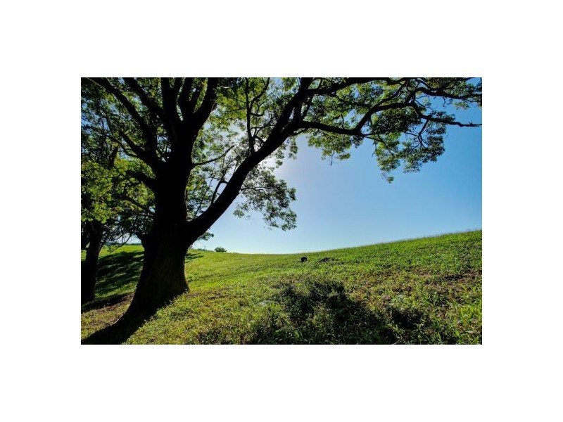 Lot 3 197 North Bank Rd, Bellingen NSW 2454