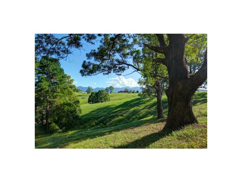 Lot 3 197 North Bank Rd, Bellingen NSW 2454