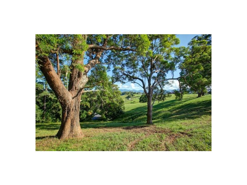 Lot 3 197 North Bank Rd, Bellingen NSW 2454