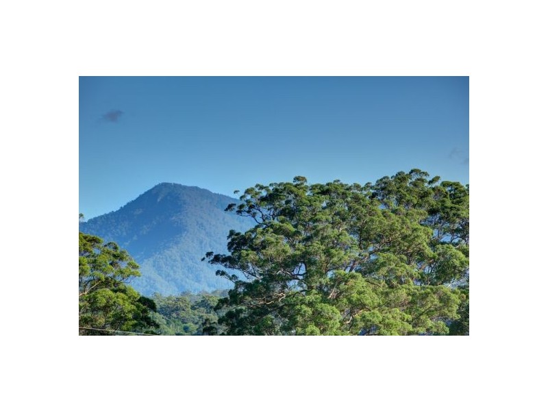 Lot 3 197 North Bank Rd, Bellingen NSW 2454