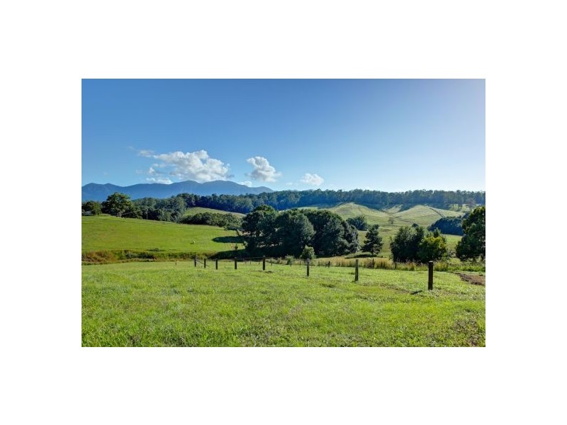 Lot 3 197 North Bank Rd, Bellingen NSW 2454