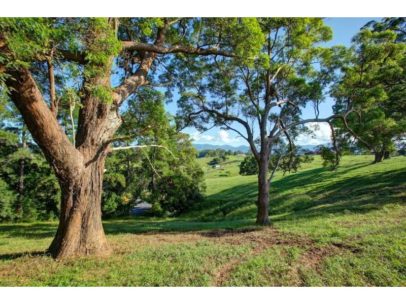 Lot 4 197 North Bank Rd, Bellingen NSW 2454