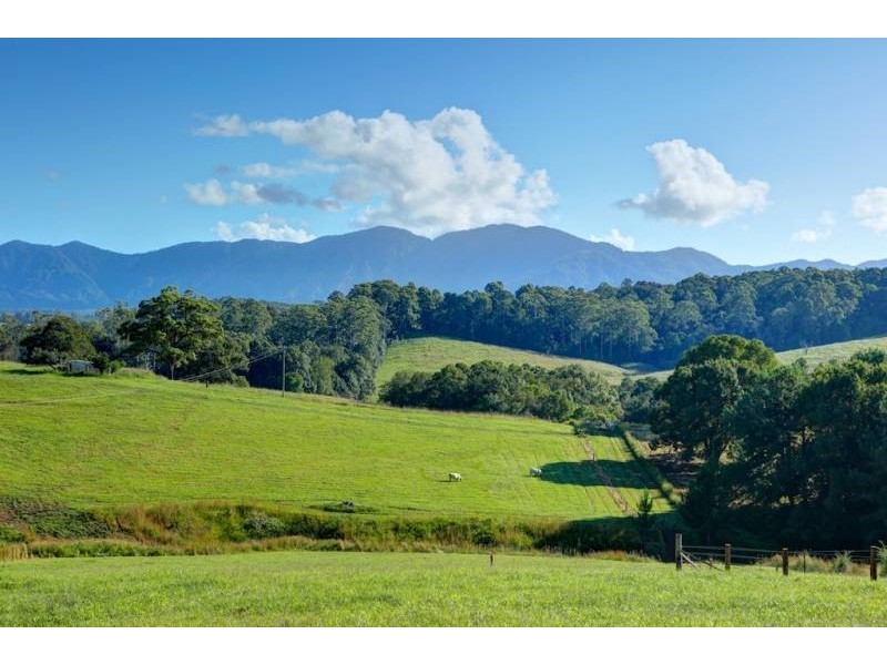Lot 4 197 North Bank Rd, Bellingen NSW 2454
