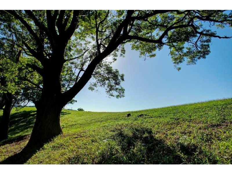 Lot 7 197 North Bank Rd, Bellingen NSW 2454