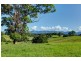 Lot 7 197 North Bank Rd, Bellingen NSW 2454