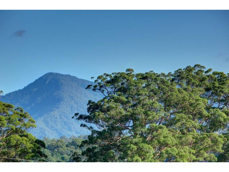 Lot 7 197 North Bank Rd, Bellingen NSW 2454