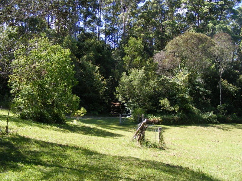 Bellingen NSW 2454