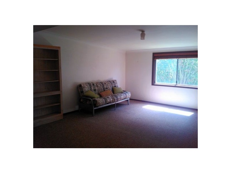 7 Hayden St, Dorrigo NSW 2453