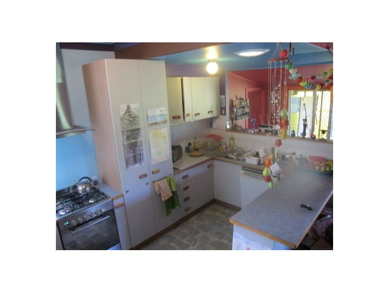 55 Lyon Street, Bellingen NSW 2454