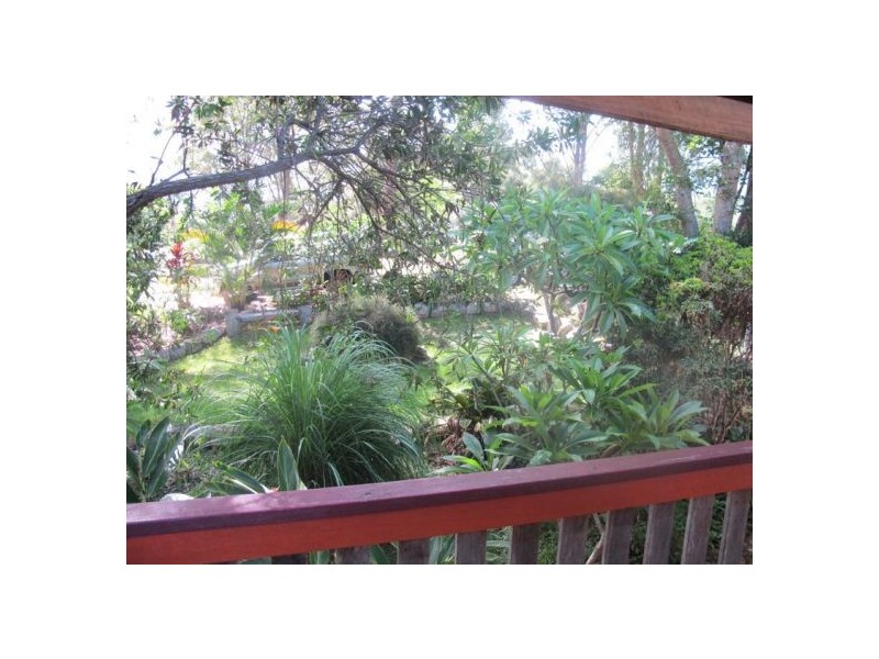 55 Lyon Street, Bellingen NSW 2454