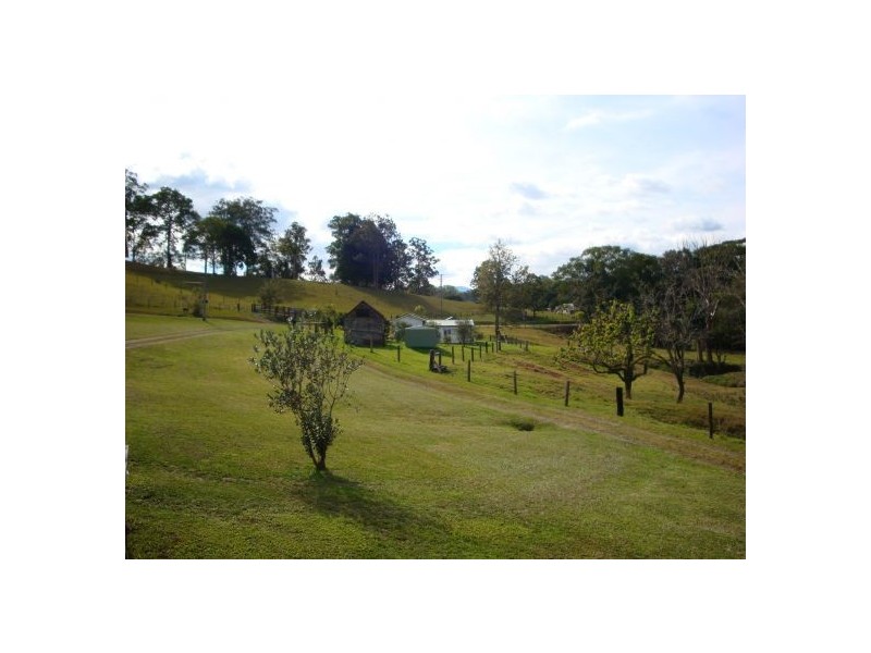 Bellingen NSW 2454