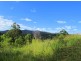 141 Martells Road, Bellingen NSW 2454