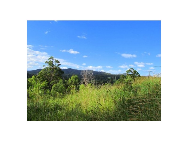 141 Martells Road, Bellingen NSW 2454