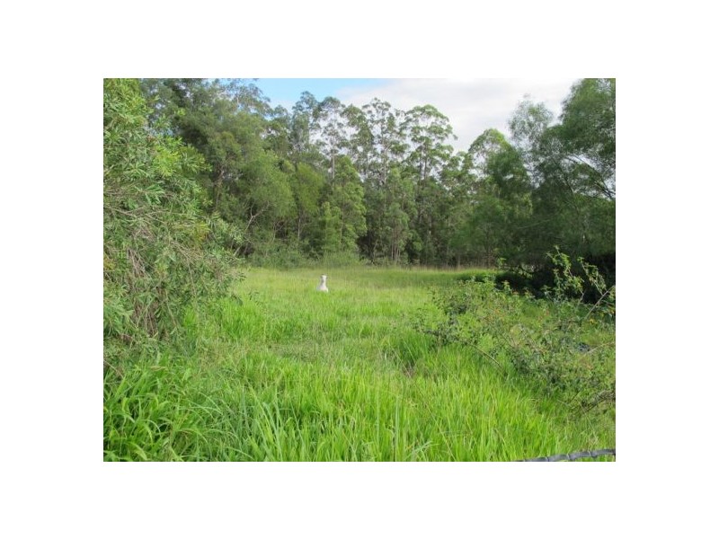 141 Martells Road, Bellingen NSW 2454